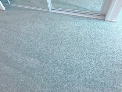 End of lease cleaned carpet in the Blue Mountains. This is the cleaned example