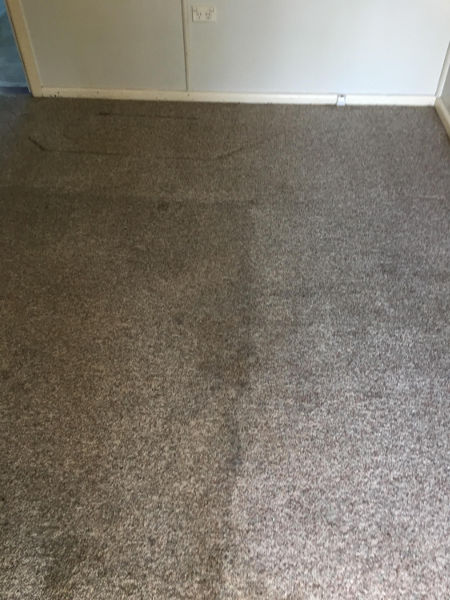 steam cleaning a dirty carpet can make it lighter and brighter