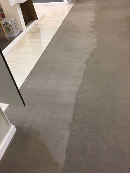 steam cleaning results for a carpet outside a shop in the Blue Mountains
